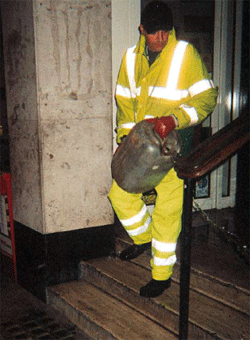 Sleepless in the City